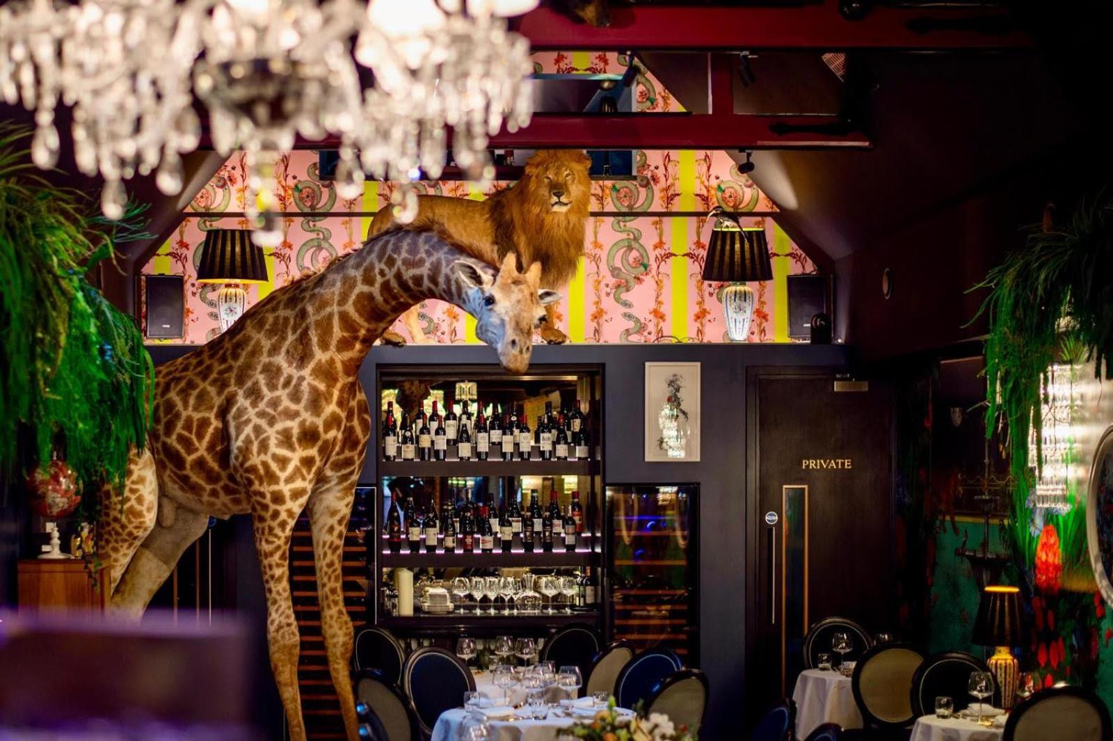 Hux Hotel, Kensington Londra Dış mekan fotoğraf